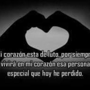 Meet your Posher, German